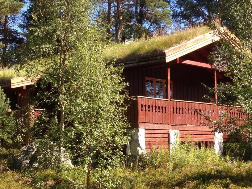 Batsto Camping Elga Ngoại thất bức ảnh